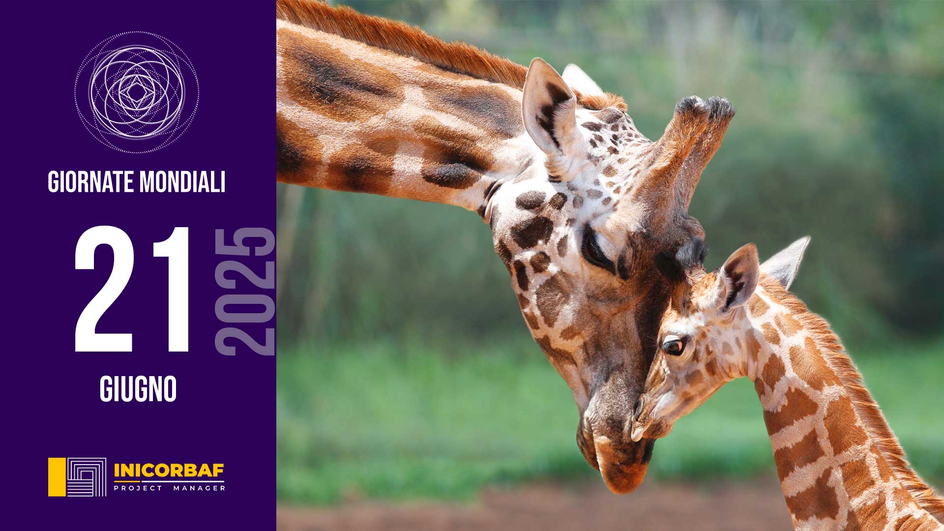 Giornata Mondiale della giraffa