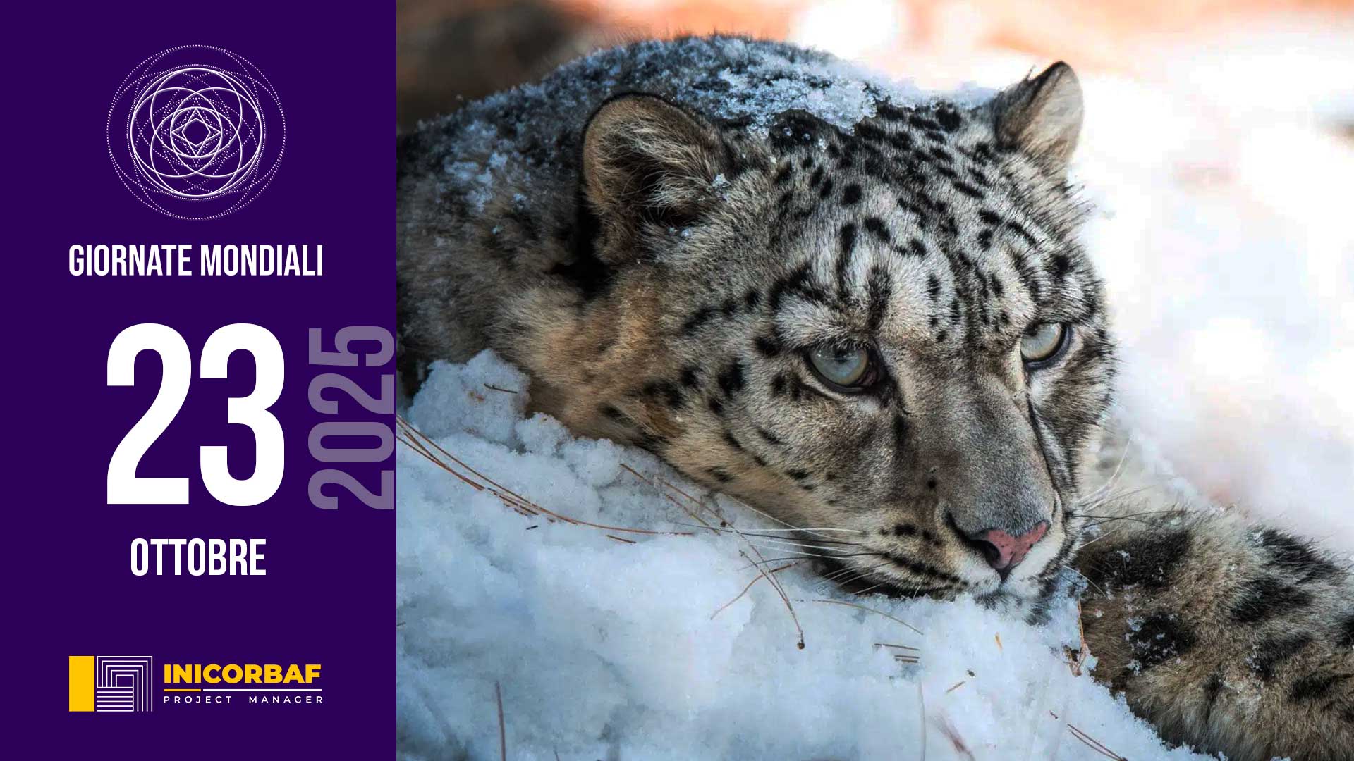 Giornata Mondiale del leopardo delle nevi