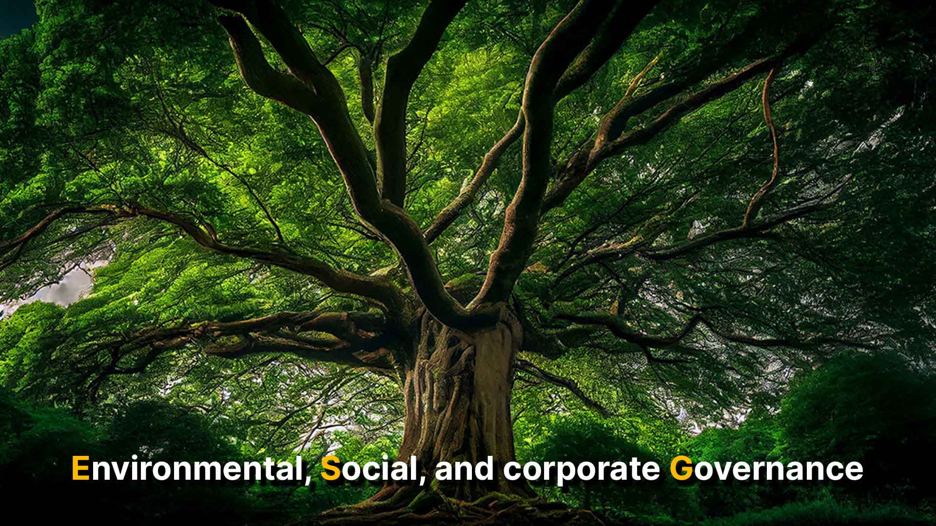Obbligazioni ESG: una rivoluzione concreta o solo marketing?