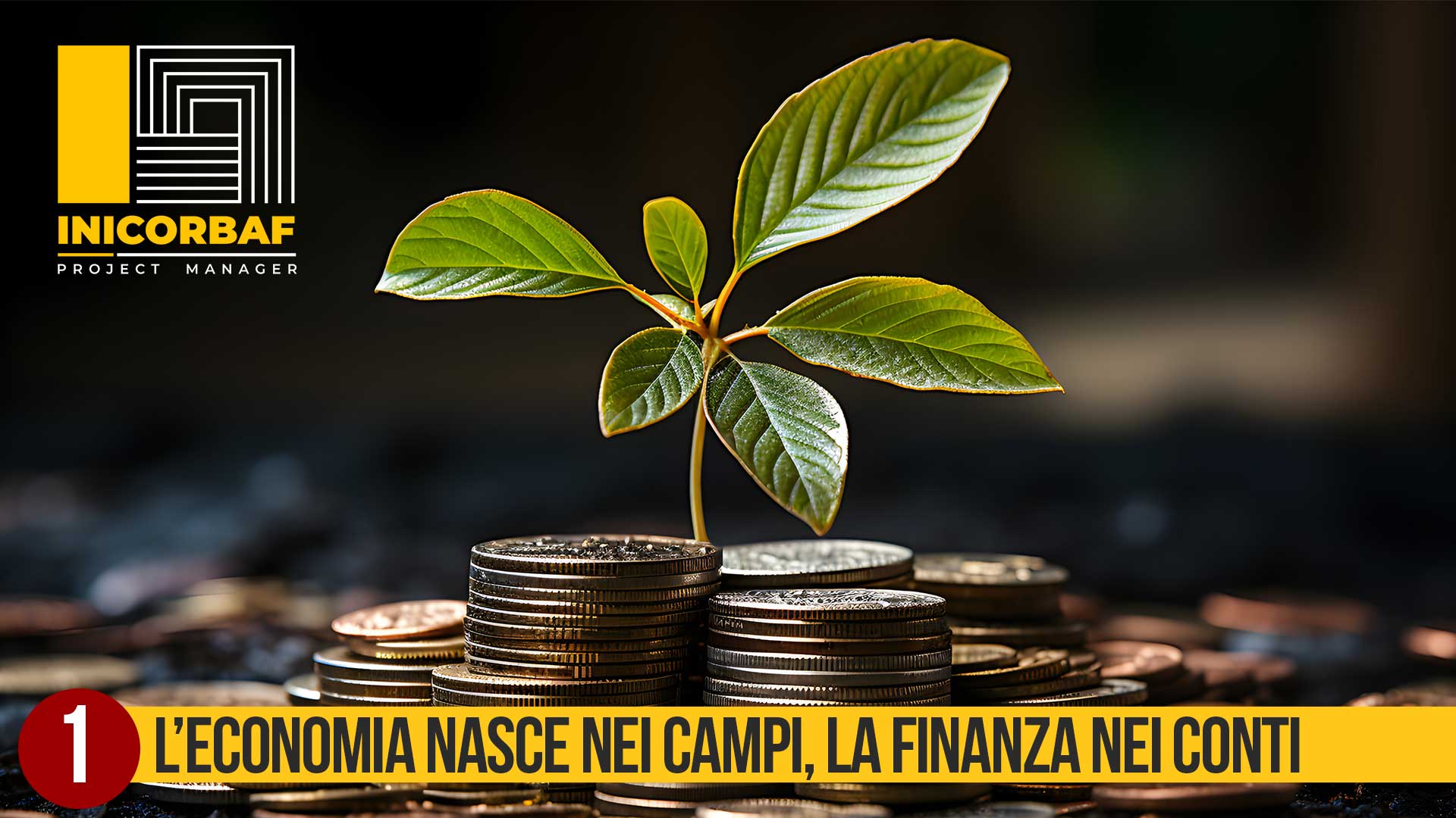L’economia nasce nei campi, la finanza nei conti