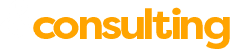 logo econsulting w